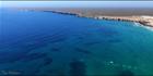 Whales - Head of Bight - SA (PBH3 00 28940)